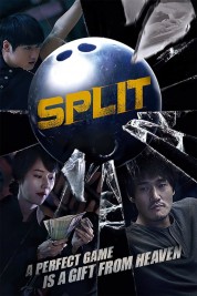 Split 2016