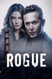 Rogue 2013