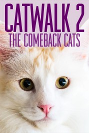 Catwalk 2: The Comeback Cats 2022
