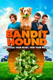 The Bandit Hound 2016