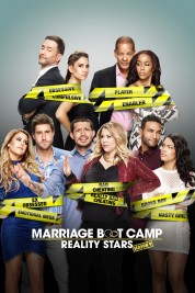 Marriage Boot Camp: Reality Stars 2014