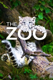 The Zoo 2017