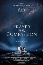 A Prayer for Compassion 2019