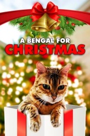 A Bengal for Christmas 2023