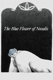 The Blue Flower of Novalis 2018