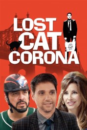 Lost Cat Corona 2017