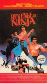 Revenge of the Ninja 1984