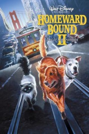 Homeward Bound II: Lost in San Francisco 1996