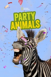 Party Animals 2016