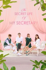 The Secret Life of My Secretary 2019