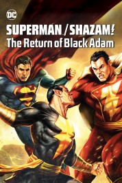 Superman/Shazam!: The Return of Black Adam 2010