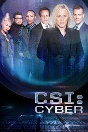 CSI: Cyber 2015