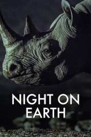 Night on Earth 2020