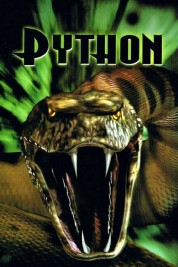 Python 2000