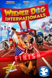 Wiener Dog Internationals 2015