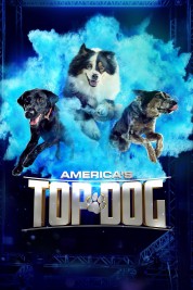 America's Top Dog 2020