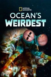Ocean's Weirdest 2022