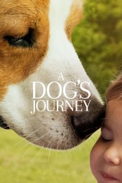 A Dog's Journey 2019