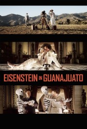 Eisenstein in Guanajuato 2015