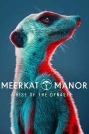 Meerkat Manor: Rise of the Dynasty 2021