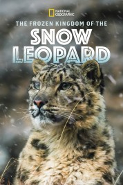 The Frozen Kingdom of the Snow Leopard 2020