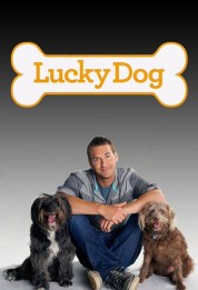 Lucky Dog 2013