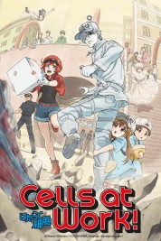 Cells at Work! 2018