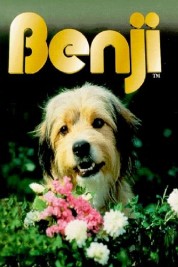 Benji 1974