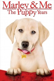 Marley & Me: The Puppy Years 2011