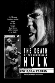 The Death of the Incredible Hulk 1990