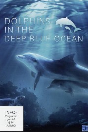 Dolphins in the Deep Blue Ocean 2009