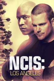 NCIS: Los Angeles 2009