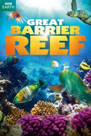 Great Barrier Reef 2012