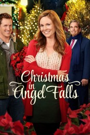 Christmas in Angel Falls 2018