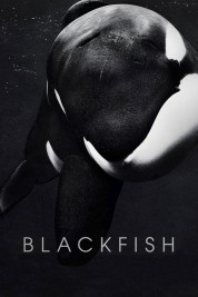 Blackfish 2013