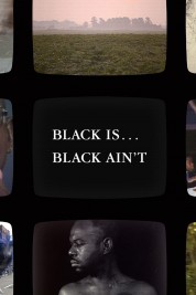 Black Is … Black Ain’t 1994