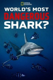 World's Most Dangerous Shark? 2023