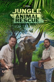 Jungle Animal Rescue 2020