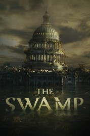 The Swamp 2020