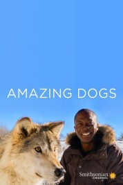 Amazing Dogs 2019