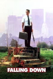 Falling Down 1993