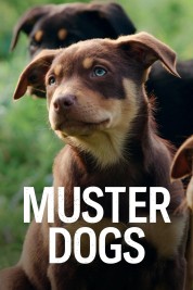 Muster Dogs 2022