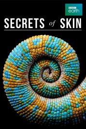 Secrets of Skin 2019