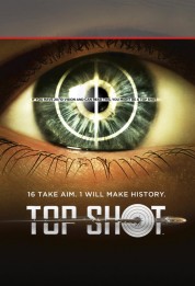 Top Shot 2010