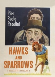 Hawks and Sparrows 1966