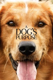 A Dog's Purpose 2017