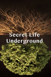 Secret Life Underground 2015