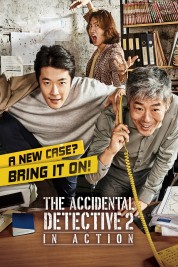 The Accidental Detective 2: In Action 2018