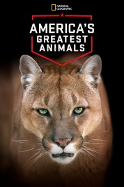 America's Greatest Animals 2012