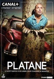 Platane 2011